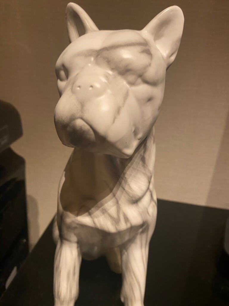 ブルドッグ