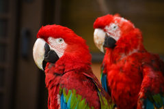 動物園にて