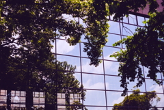 Pentax Super Takumar 55mm F1.8