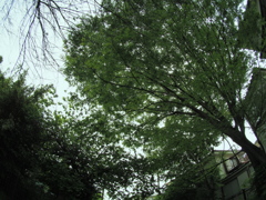 KAMLAN FS 7.5mm F3.2