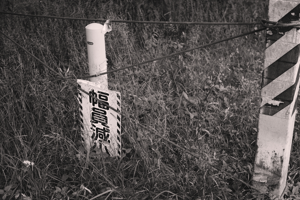 INDUSTAR-61L/Z 50mm F2.8