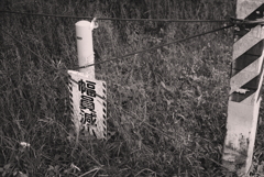 INDUSTAR-61L/Z 50mm F2.8