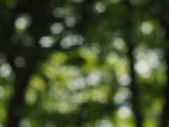 INDUSTAR-61L/Z 50mm F2.8