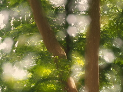 INDUSTAR-61L/Z 50mm F2.8