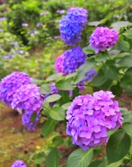 去年の