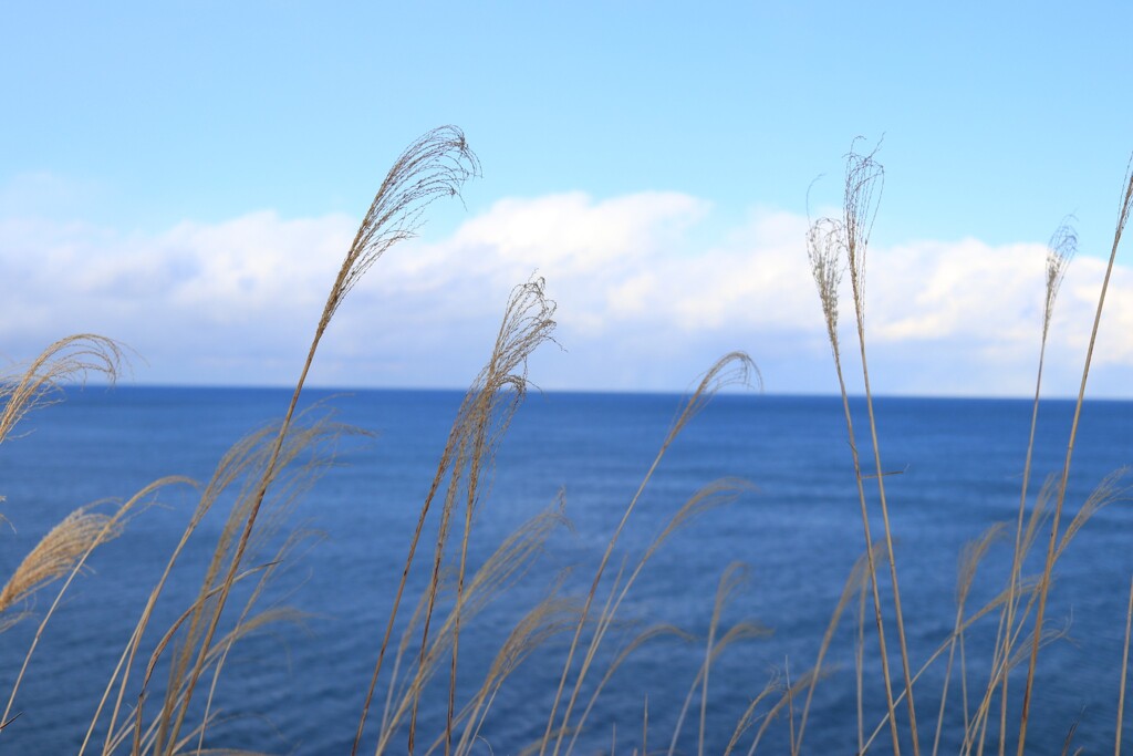 海と