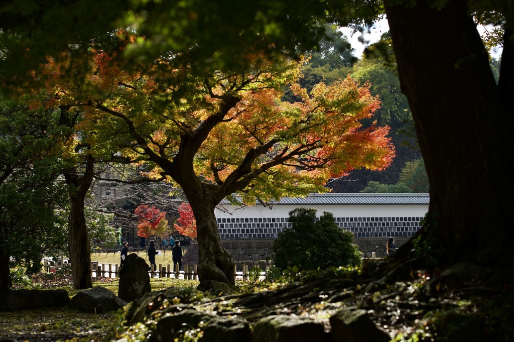 金沢城内の紅葉