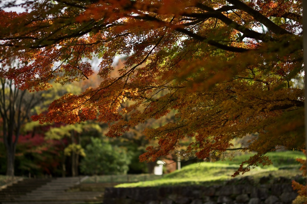 金沢城内の紅葉