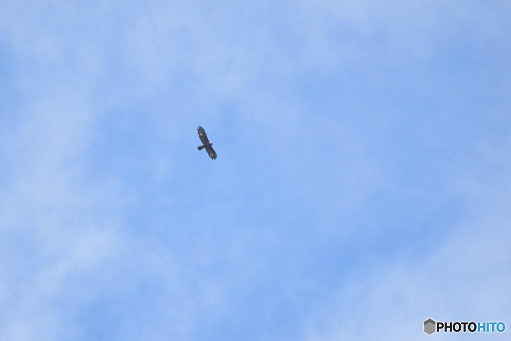 空を征する