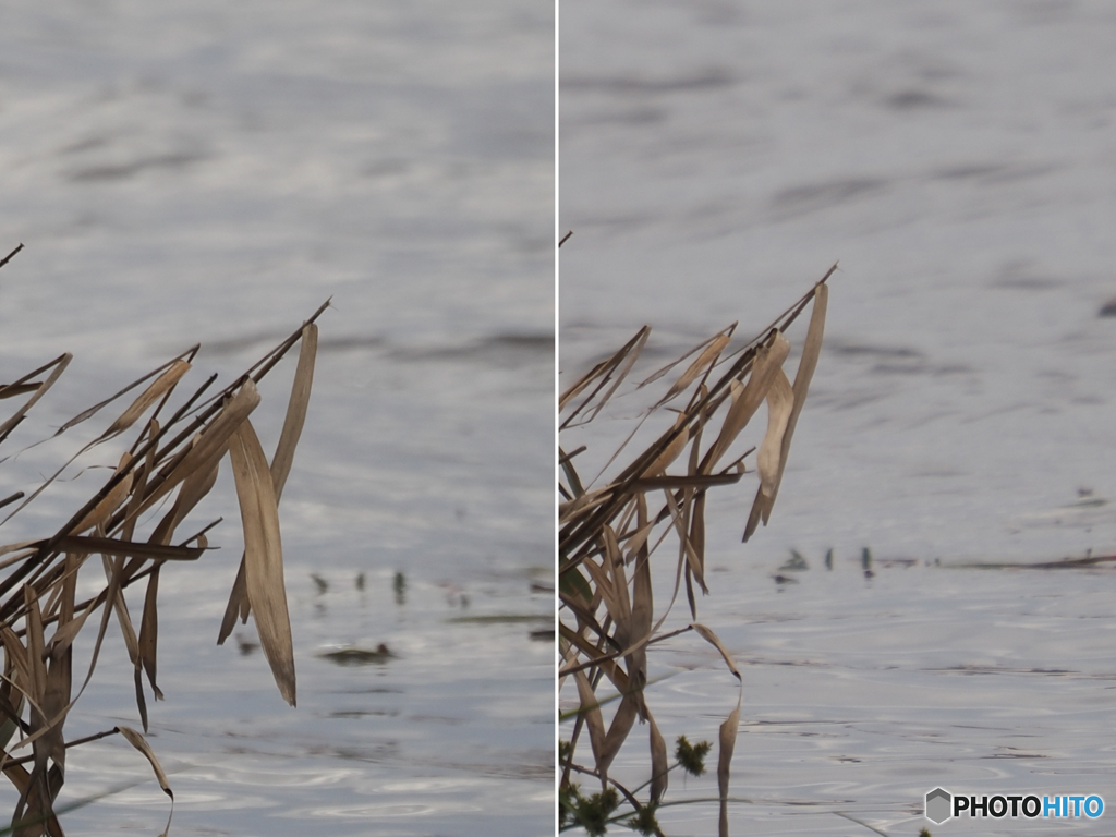 OMレンズ比較1