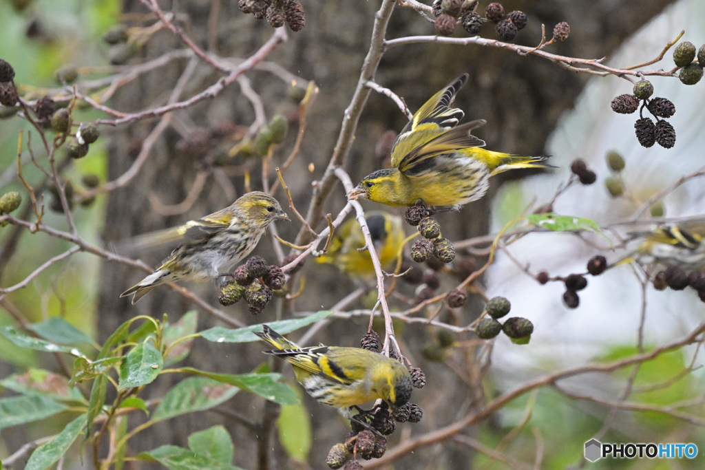 山は大丈夫か？