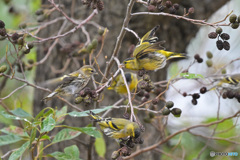 山は大丈夫か？