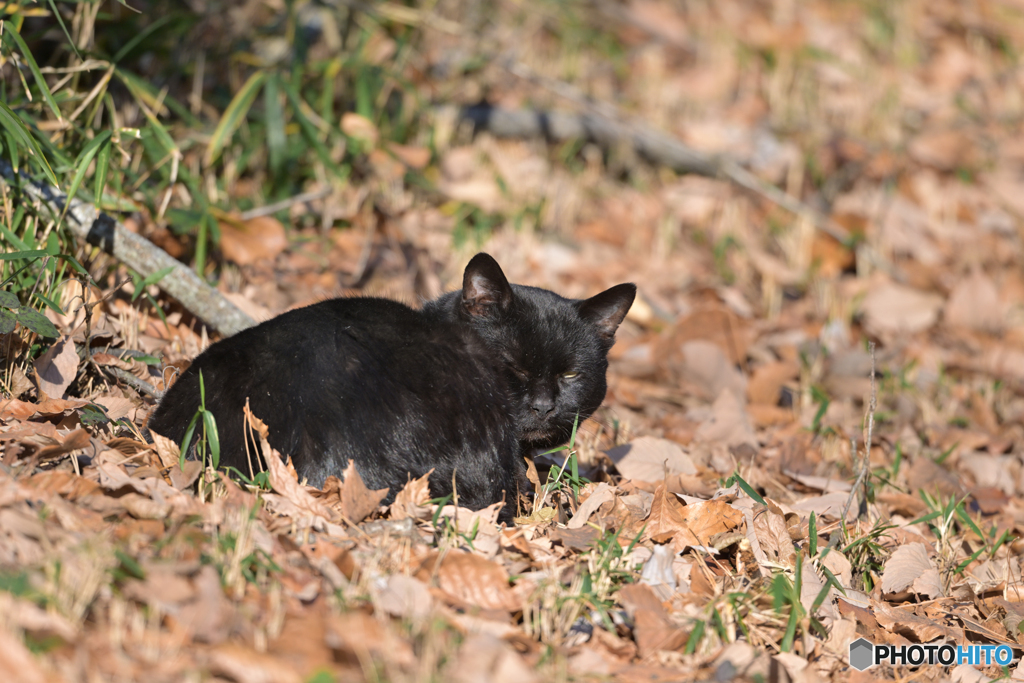迷惑ですよね。。。