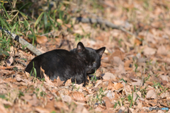 迷惑ですよね。。。