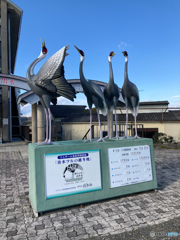 鶴の聖地