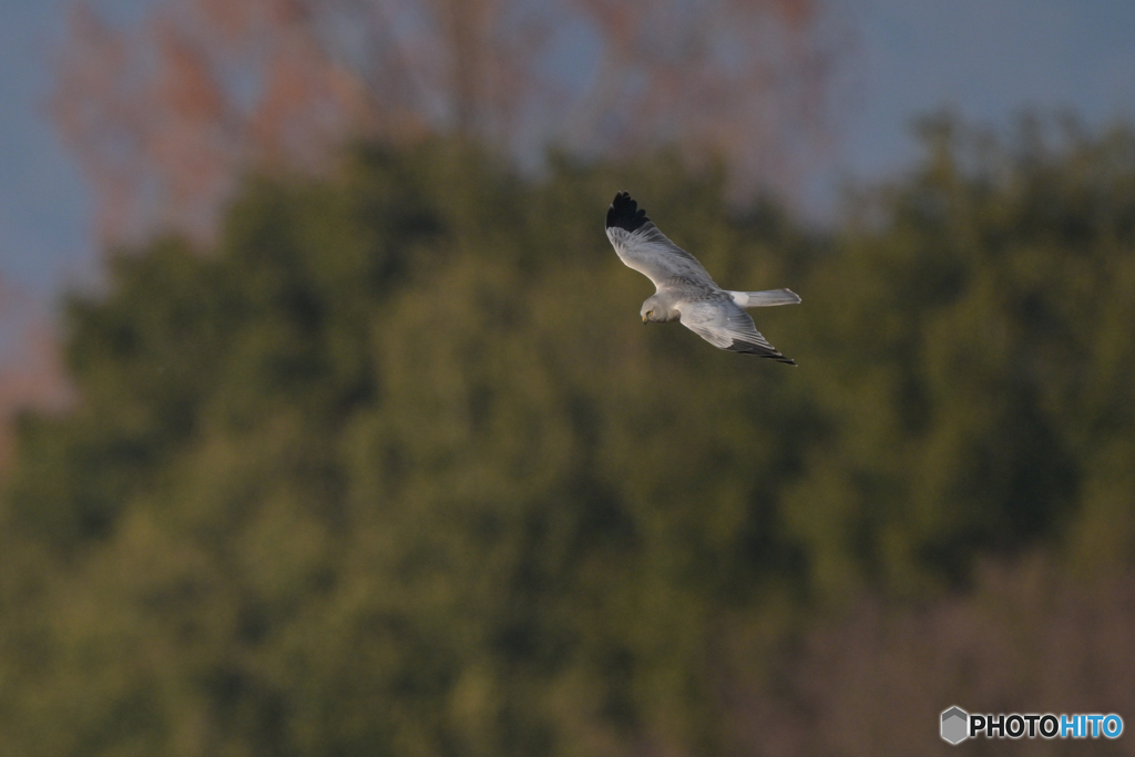 いきなりクライマックス