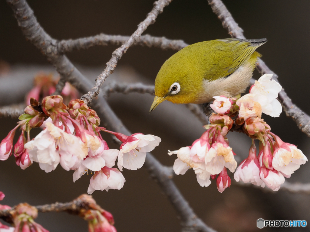 主役は君だ！