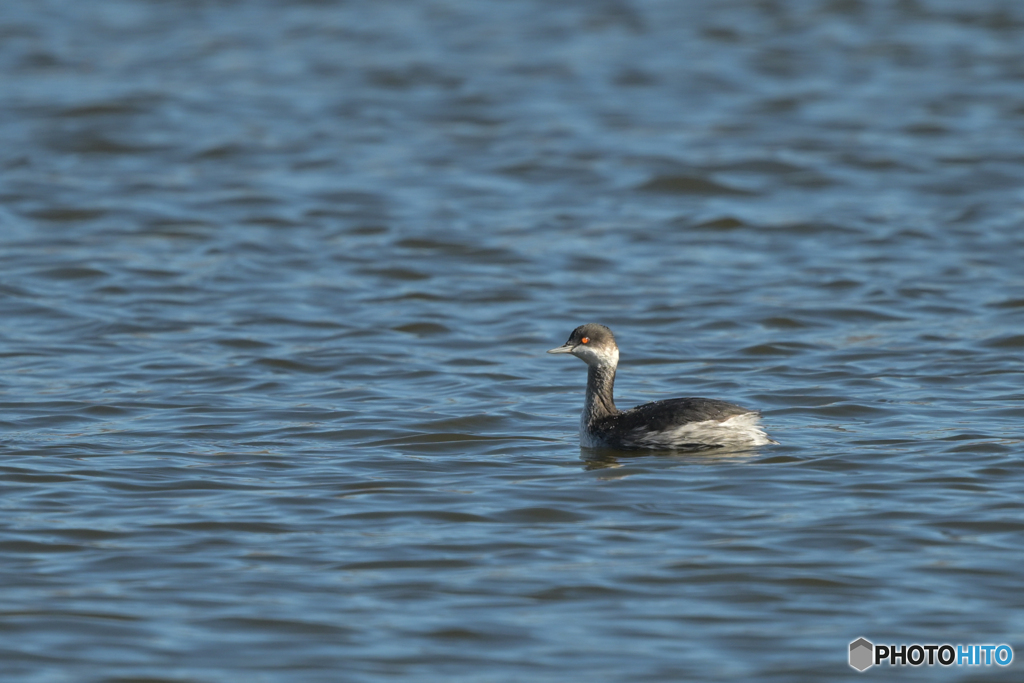 風裏でノンビリ