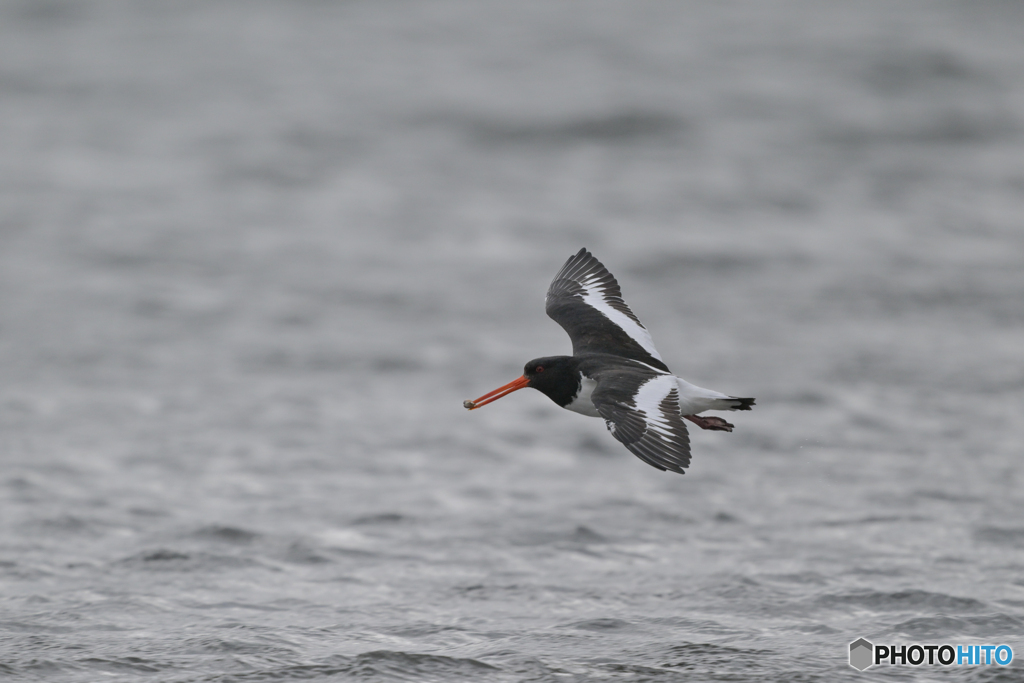 盗られるものか