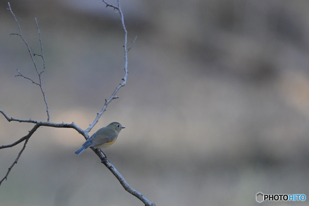 ちゃんとしよう