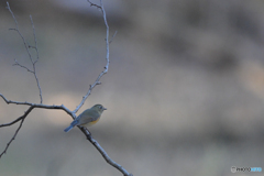 ちゃんとしよう