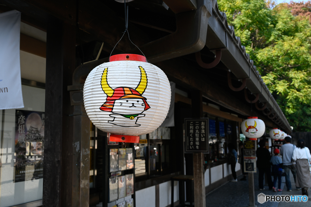 ひこにゃん提灯
