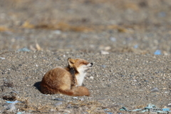 日向ぼっこでカキカキ