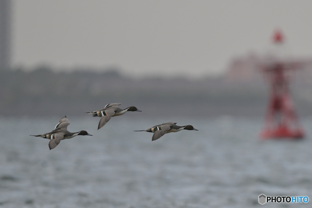 陽が欲しかった