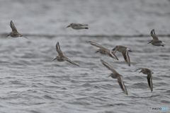 天気予報はこまめに