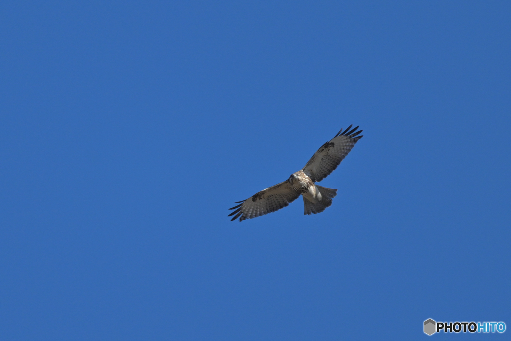 澄んだ青空に