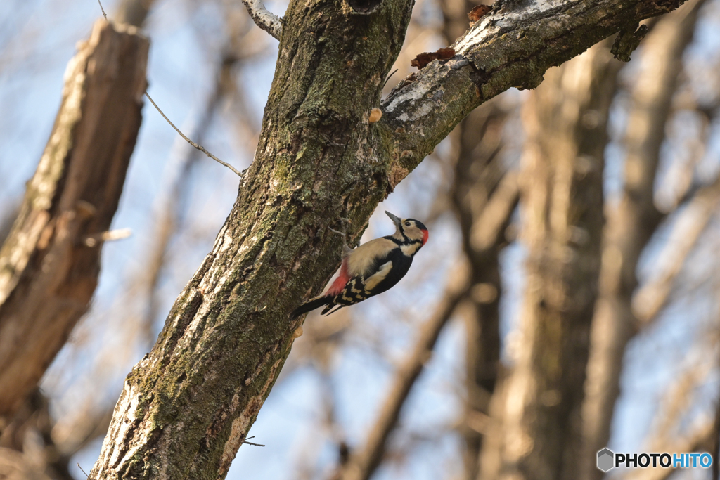 ゲラあるある