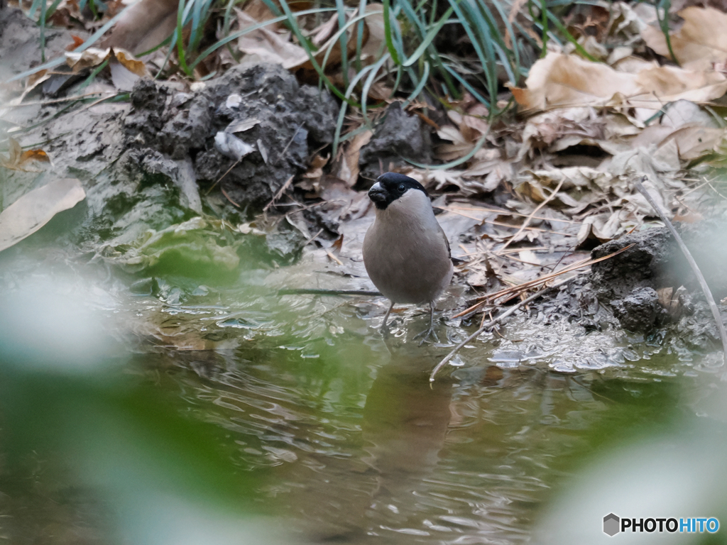 喉が渇いてたんだね
