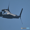 USAF0066