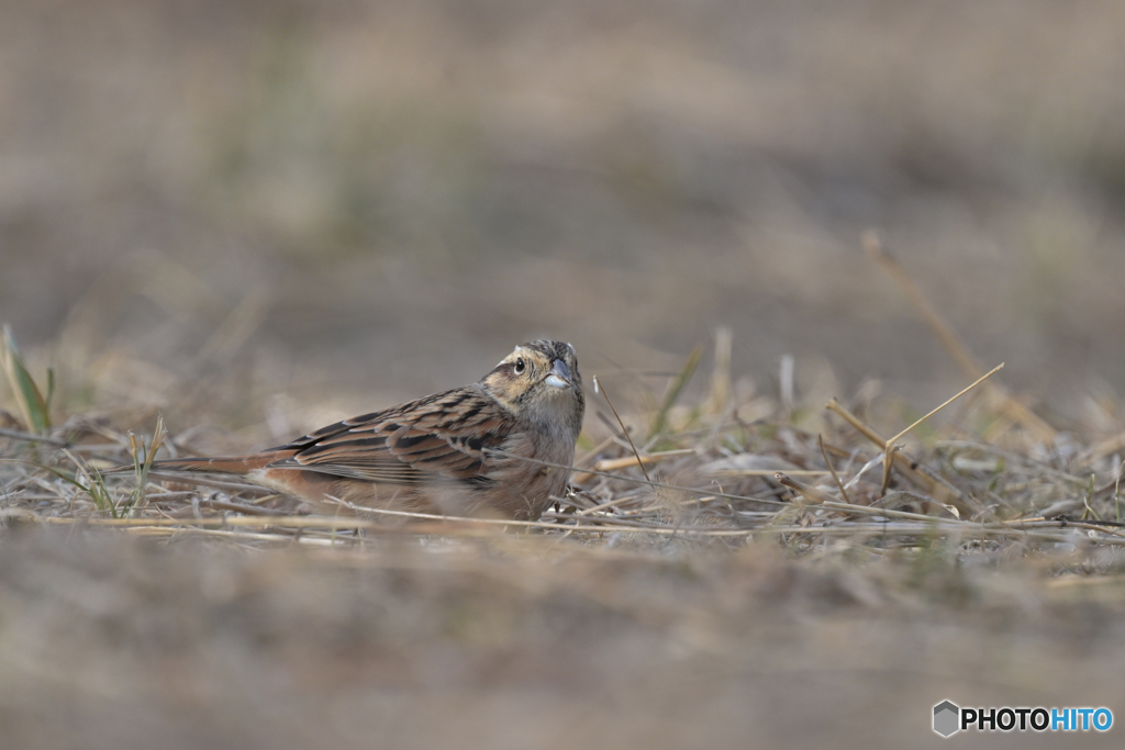 斜面のおかげ