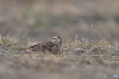 斜面のおかげ