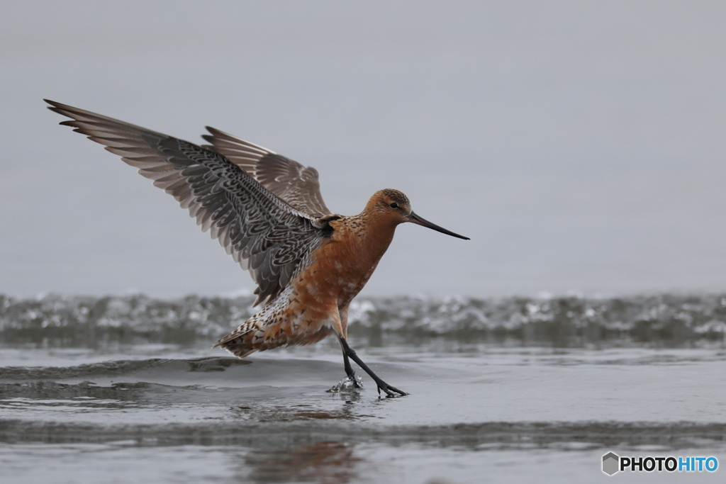 landing