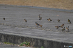 みんな仲良く？