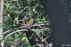 逃げるの早っ