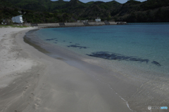 母島の海