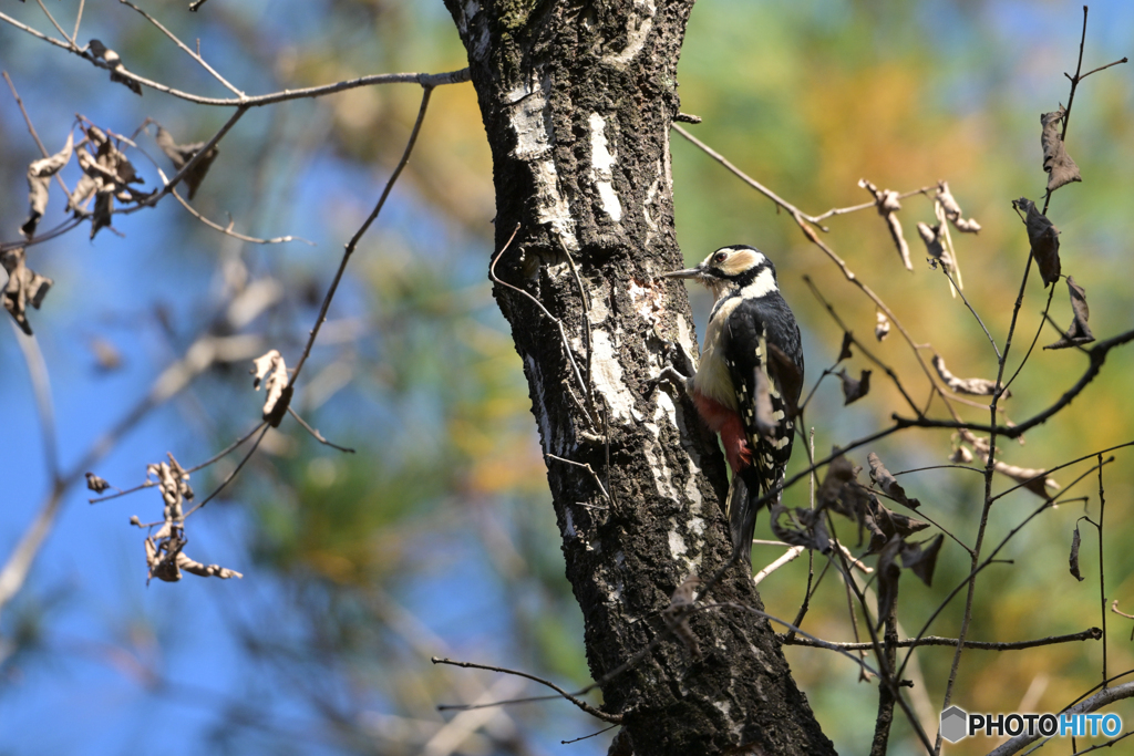 真面目にコツコツ