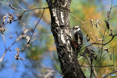 真面目にコツコツ