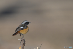 決めてるけど