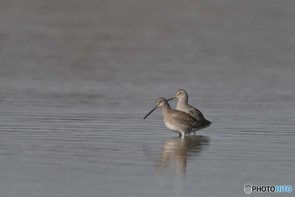 一冬ここで？
