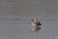 一冬ここで？