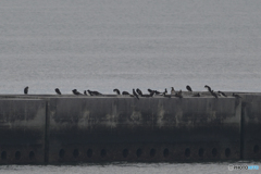 防波堤でノンビリ