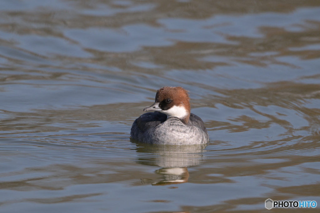 距離感がおかしい
