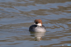 距離感がおかしい