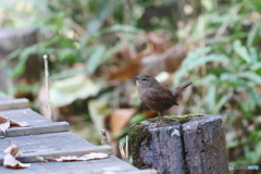 下山しました！