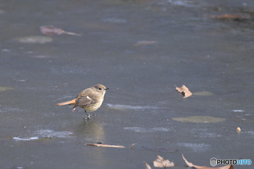転ばないでね