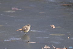 転ばないでね